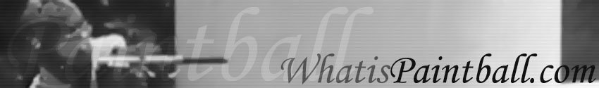 The original WhatIsPaintball.com wordmark from 2002